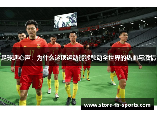 足球迷心声：为什么这项运动能够触动全世界的热血与激情
