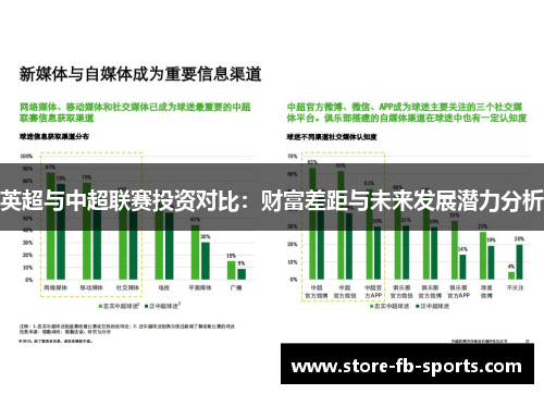 英超与中超联赛投资对比：财富差距与未来发展潜力分析