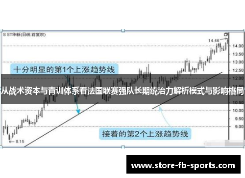 从战术资本与青训体系看法国联赛强队长期统治力解析模式与影响格局