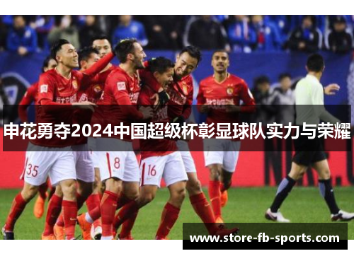 申花勇夺2024中国超级杯彰显球队实力与荣耀