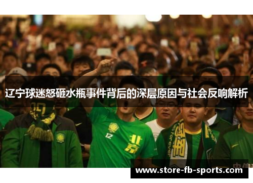 辽宁球迷怒砸水瓶事件背后的深层原因与社会反响解析